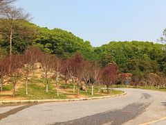 -广州市帽峰山景区