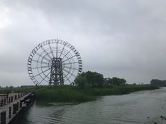 -苏州太湖湖滨国家湿地公园
