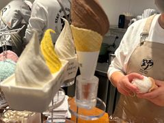 -野人先生Gelato(上海长宁龙之梦店)