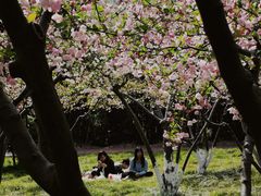 -中央公园(苏州工业园区)