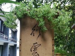 -国生茶庄·地道农家菜团建活动