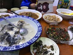 -全乐鱼馆·淳牌有机鱼直营店
