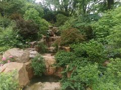 -丽晶大班SPA(大沽店)