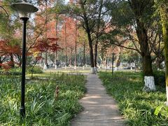 -四川大学(望江校区)