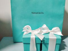 -Tiffany & Co.蒂芙尼
(武汉武商MALL店)