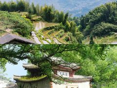 -杨家堂村