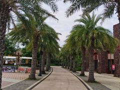 -三亚海昌梦幻海洋不夜城