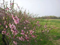 -汉长安城未央宫国家考古遗址公园