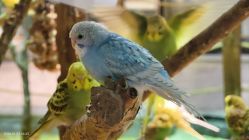 -酷嗒动物文化乐园(cutezoo西溪乐天城店)