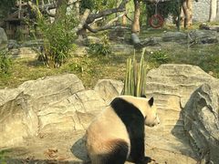 -武汉动物园
