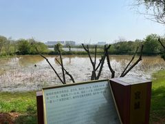 -盘龙城国家考古遗址公园