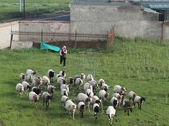 -青海湖国家重点风景名胜区