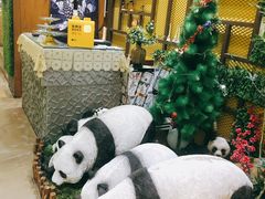 -松坂屋日料自助(长城路店)
