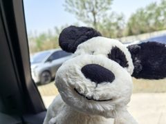 -济南国际园博园