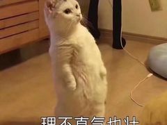 -新达口腔(华东理工大学店)