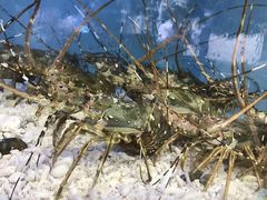 -宜宾海鲜酒家·三十年老字号