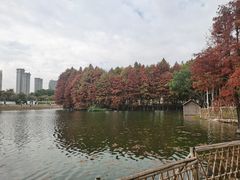 -厦门园林博览苑