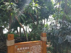 景点-西安世博园