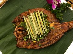 -香巴拉云南餐厅(华莱坞店)