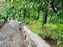 -阳台山自然风景区