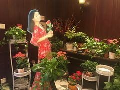 -邓丽君音乐主题餐厅