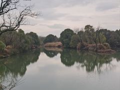 -西溪国家湿地公园