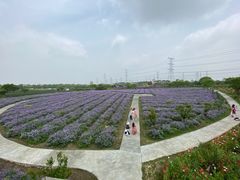 -上海杨姆庄园