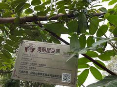 -广州神农草堂中医药博物馆