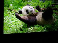 -UME影城(安贞DTS:X店)