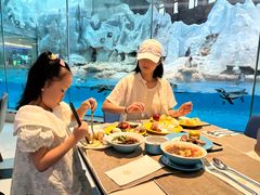 -帝企鹅自助餐厅•儿童岛•真企鹅(长隆企鹅酒店)