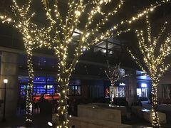 -上海浦东嘉里大酒店
