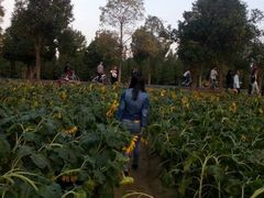 -艾溪湖湿地公园