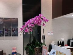 -TSK齿科德申会口腔门诊·联洋诊所
