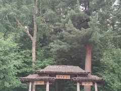 -五营国家森林公园