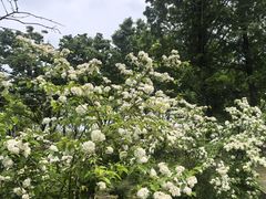 -苏州上方山国家森林公园