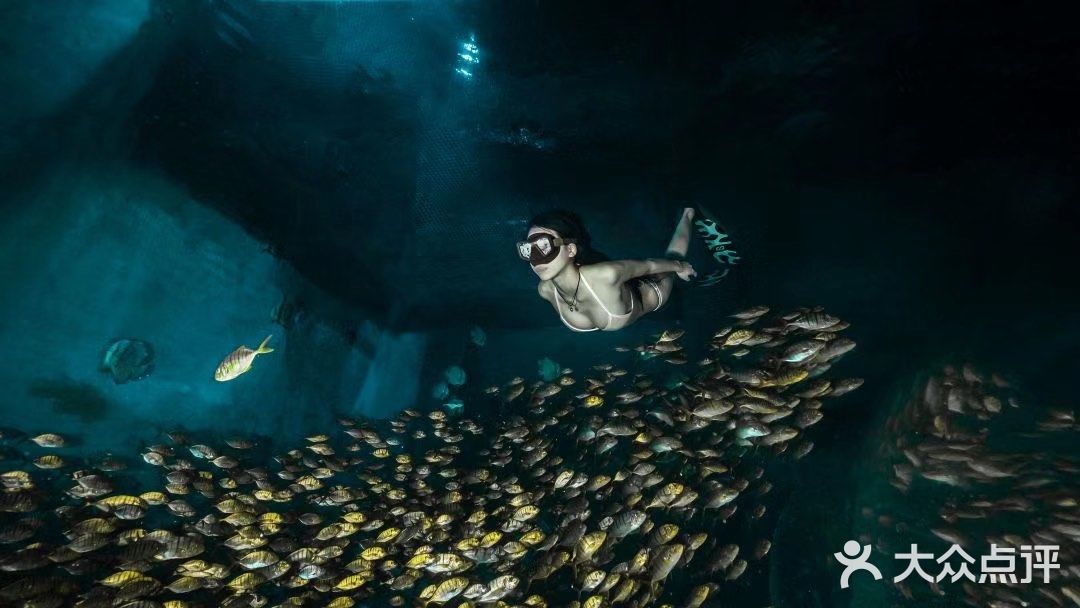 正佳极地海洋世界，打卡180°水晶海底！