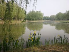-东郊湿地公园