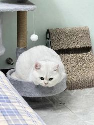 -OAE日式皮肤管理お肌の