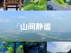 -黄埔油麻山森林公园