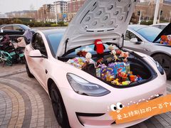 -TESLA 特斯拉(郑州正弘城体验店)