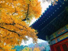 -红螺寺