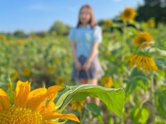 -贵阳市花溪国家城市湿地公园