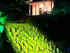 -印象普陀