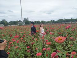 点击看大图 -薇咖映画婚纱摄影工作室