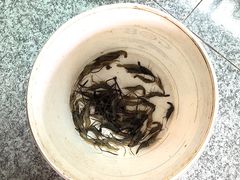 -芦茨金富饭庄·25年老字号·专做稻草鸡