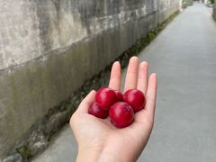 -西溪南古村落景区
