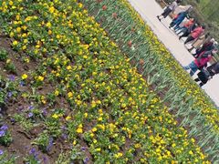 -长春公园(普阳街道)