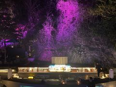 -Rock Bar Bali(Bali)