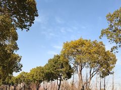 -漕湖湿地公园