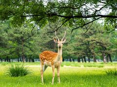 -承德避暑山庄景区